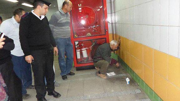 Rescatan a un gato que ha estado emparedado durante cinco años