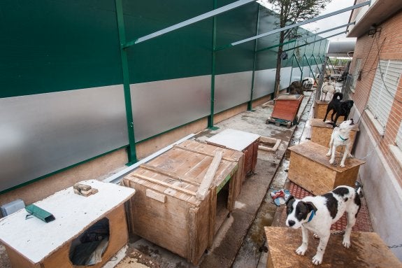 Instalan pantallas acústicas en el refugio de animales de Benimàmet