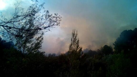 Incendio en Olocau, en la zona barranco de Pedralvilla.