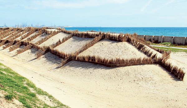 Nuevas dunas en la zona del polideportivo construidas con arena de la Malvarrosa.