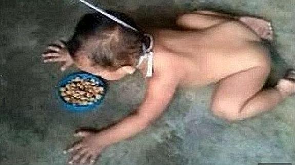 El escándalo del niño que gatea con una cuerda al cuello y come del plato del perro