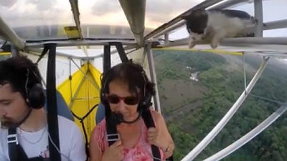 El gato volador existe y sorprende en el cielo francés