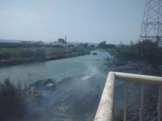 Inmediaciones del río Albaida que se ha incendiado.