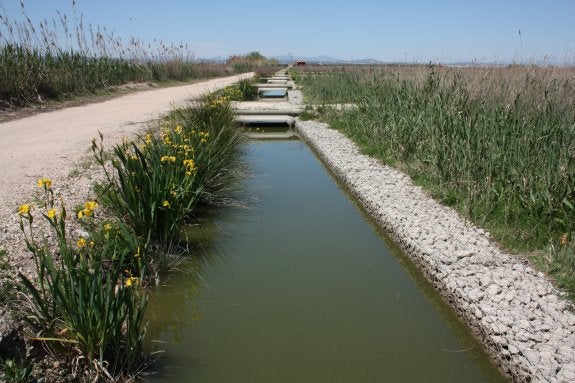 Una de las acequias que filtran el agua, en una imagen cedida por la Fundación Global Nature. :: lp