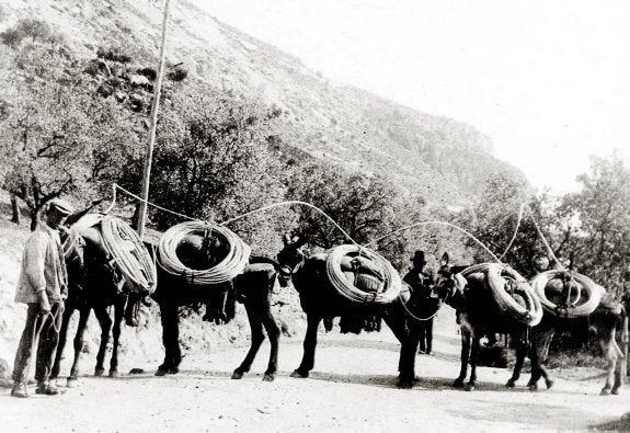 Las mulas portean los cables que debían instalarse a lo largo del territorio. :: iberdrola