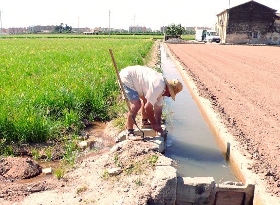 Tierra vertebrada por acequias y alquerías: la huerta primigenia