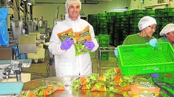 Así trabaja la empresa que hace las ensaladas para Mercadona