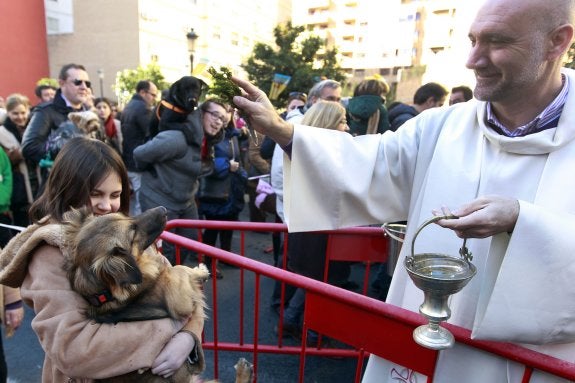  Bendición. Momento en el que un perro recibe el agua bendita.  :: Txema rodríguez