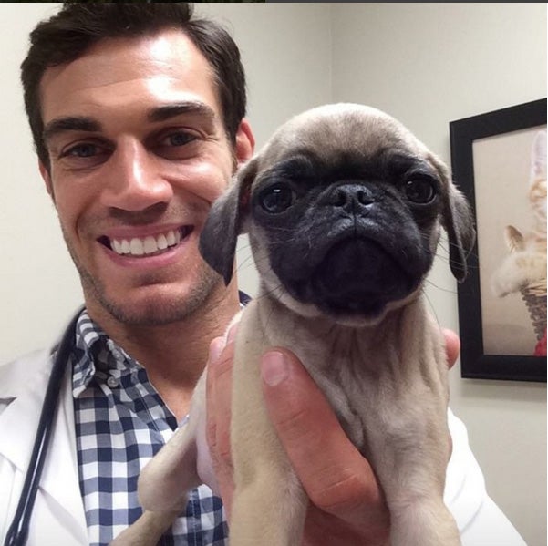 Evan Antin, el veterinario más guapo de las redes sociales.