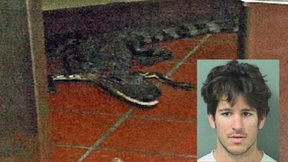 Imagen del caimán arrojado a una cadena de comida rápida de Florida por el joven Joshua James.