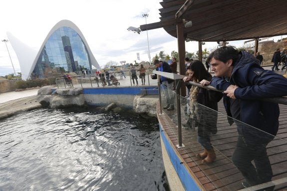 L'Oceanogràfic abre entre obras