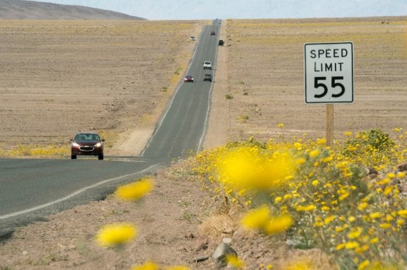 Las flores dan una imagen insólita al árido valle de la Muerte en Estados Unidos. :: ROBYN BECK / AFP