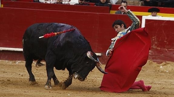 El PACMA solicita al Ayuntamiento de Valencia que no conceda licencias a eventos que utilizan animales