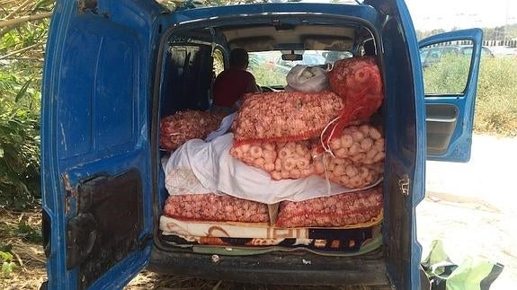 Pillan 400 kilos de ajos de venta ambulante ilegal sin control sanitario