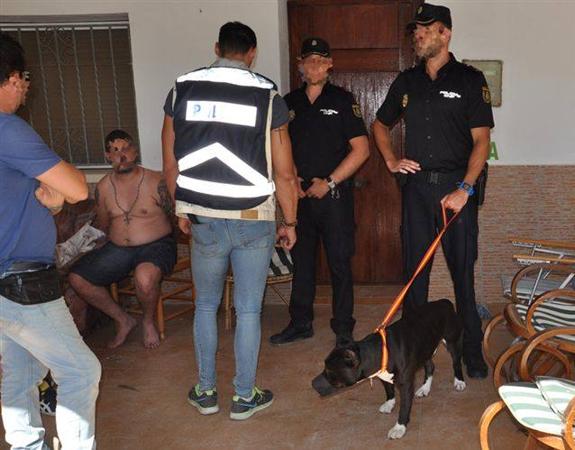 El dueño del perro, sentado, y el pitbull. 