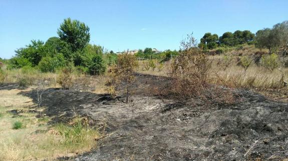 Imagen de uno de los incendios provocados.