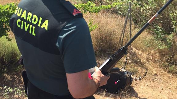 Un agente del Seprona, junto al animal inmovilizado con el dardo.