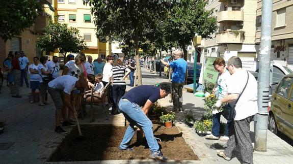 Las plantas conquistan Torrefiel