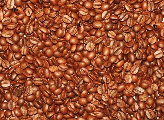 Encuentra a los bebés y a las mariquitas entre estos granos de café