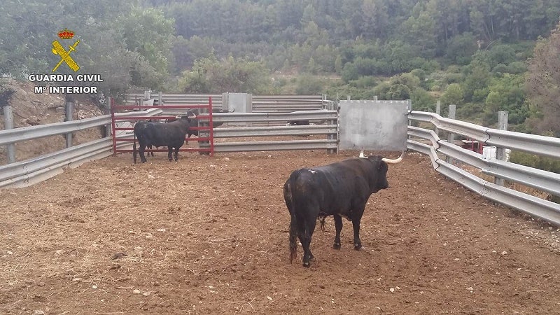 Tres ganaderos detenidos en Benidoleig por estafar 18.000 euros entregando pagarés sin fondos