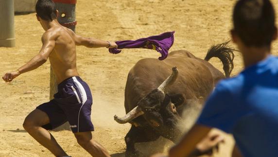 Agenda de los bous al carrer en la Comunitat Valenciana para los días 22, 23 y 24 de julio