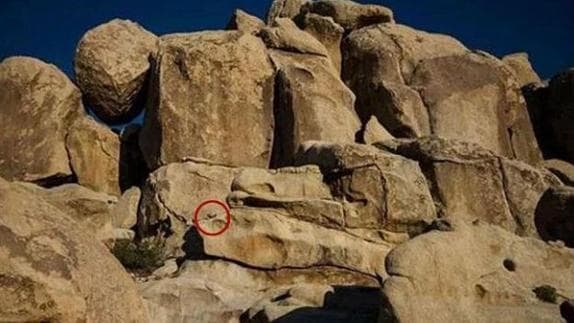 Solución al acertijo de la niña escondida en las rocas