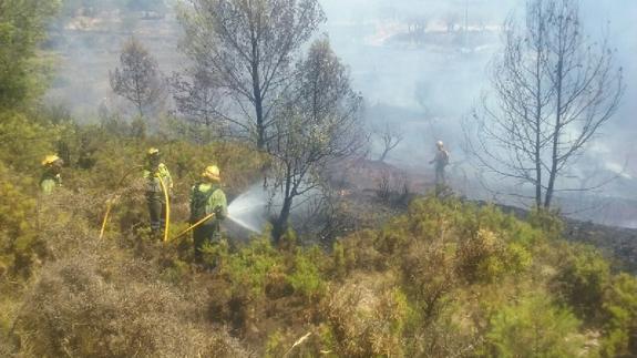 Controlado el incendio forestal en un pinar de Torremanzanas