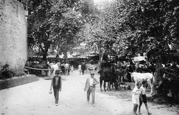 El ganado fue durante siglos protagonista de la feria de Xàtiva. :: xativablogspot.com