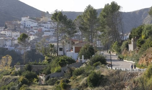 Zona forestal del municipio de Dos Aguas. :: j. signes