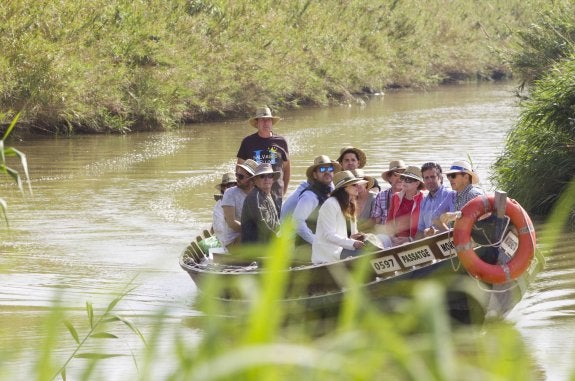 Una barca navega por uno de los canales de la Albufera. 