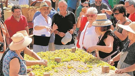 Las dos representantes del CVC y Joan Baldoví atienden las explicaciones del alcalde de Jesús Pobre mientras se extiende la uva escaldada..