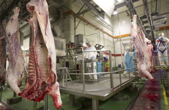 Matadero y sala de despiece de Martínez Loriente en Buñol (Valencia), que pasa a ser propiedad de Elaborados Cárnicos Medina. :: d. torres