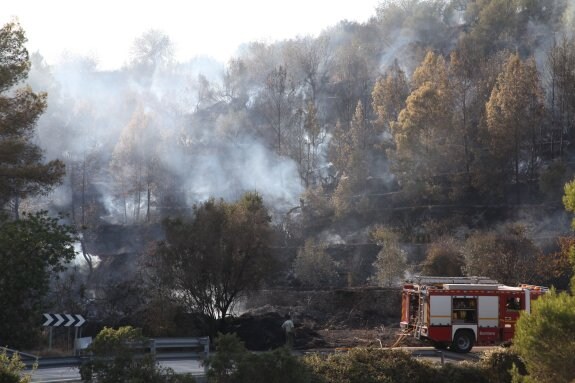 Zona forestal de la Vall de Gallinera afectada por el incendio. :: tino calvo