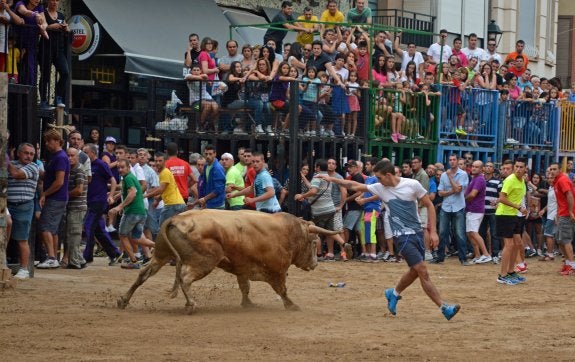 Betxí, una semana de pasión por el toro