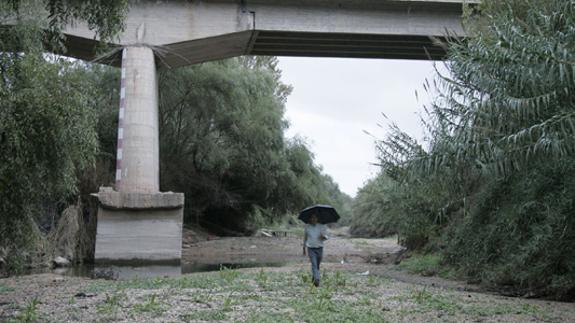 La cuenca del Xúquer, afectada por la sequía en la Ribera, en una imagen de archivo. 