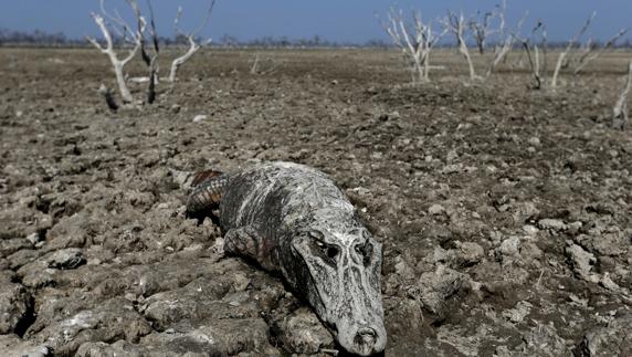 Sequía extrema en Paraguay