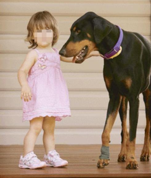Ve a su doberman arrastrando a su hija y se horroriza hasta que descubre el motivo