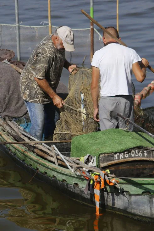 Dos pescadores faenan en la Albufera. :: manuel molines