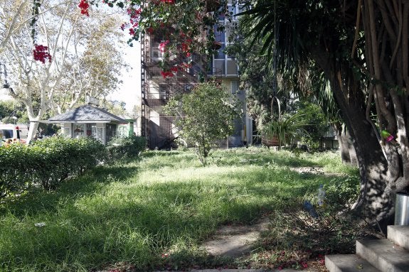 Jardín de la escuela de Agrícolas, junto al Clínico . :: Irene marsilla
