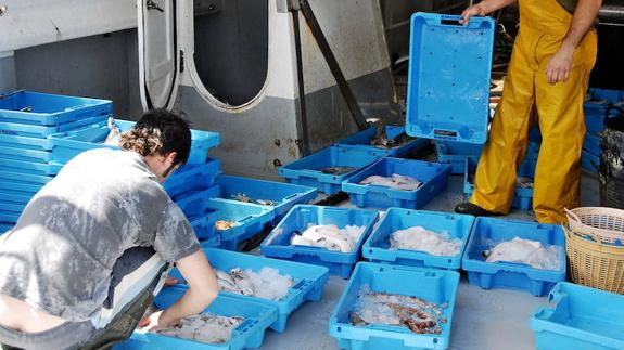 Operación de la Agencia Tributaria en las lonjas de la Comunitat contra la venta de pescado en negro