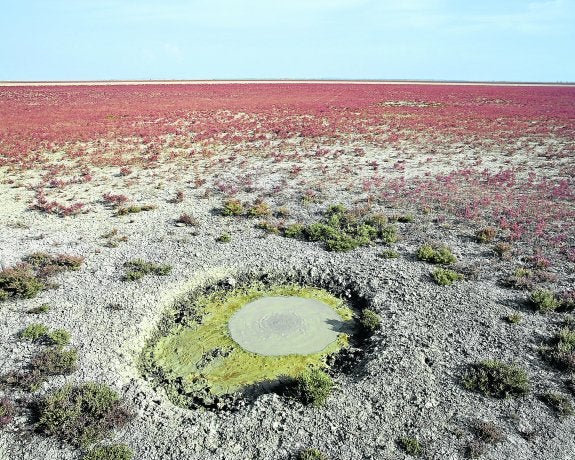 Un agonizante ojo de la marisma de Doñana. :: andoni canela/wwf