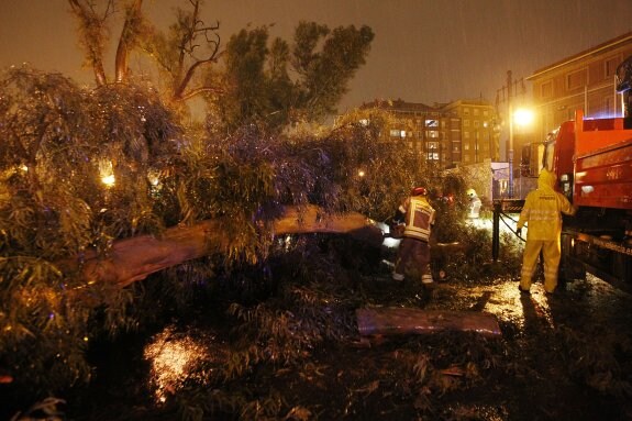 Bomberos y policías trabajan para  retirar ayer un árbol caído en la  avenida Manuel de Falla de  Valencia. :: Manuel molines