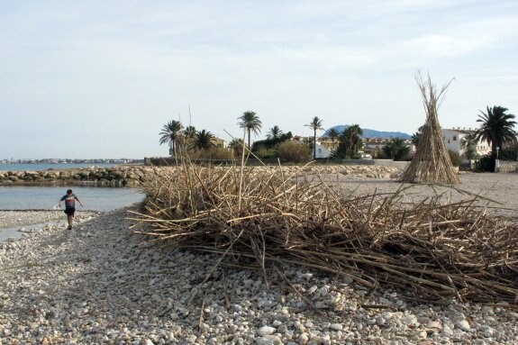 La playa de la Almadrava, en la desembocadura del río Girona, sigue llena de cañas e incluso han construido una especie de tipi con algunas de ellas. :: Tino Calvo