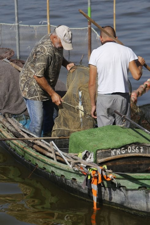 Pescadores con un cangrejo azul en la Albufera.. :: manuel molines