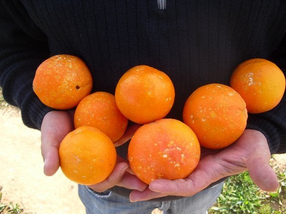 Inesperados caracoles