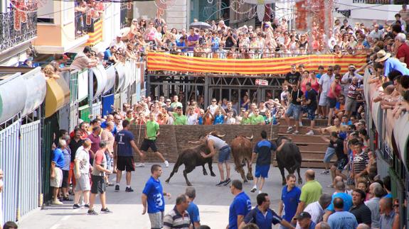 Una imagen de archivo de una de las entradas de toros en Pedreguer.