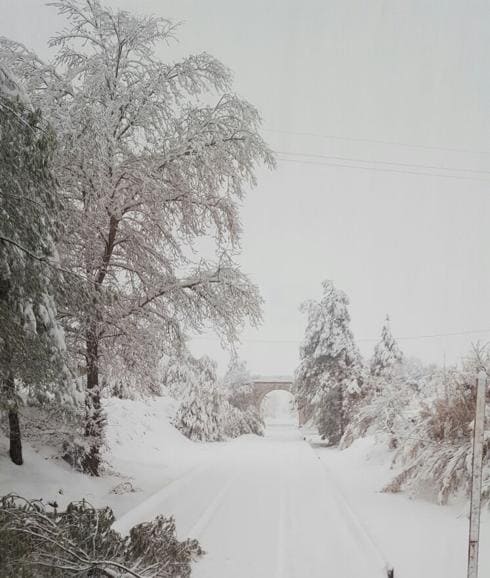 Vía del tren cubierta por la nieve en Alcoy. 