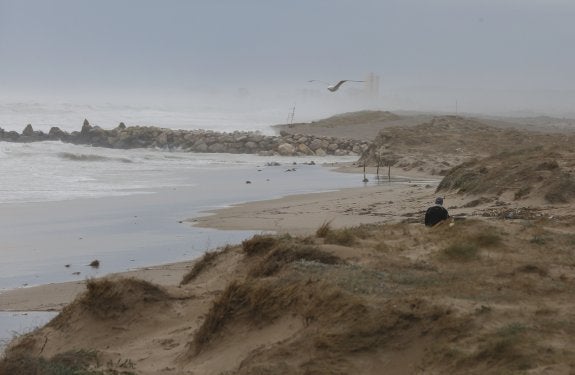 Playa de El Saler, que se ha quedado sin arena :: jesús signes