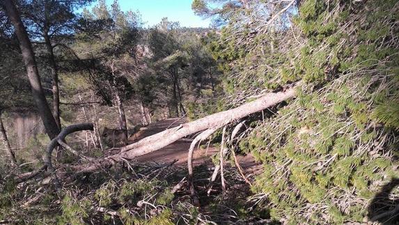 Los animales de la reserva de Valdeserrillas (Benagéber), en situación límite