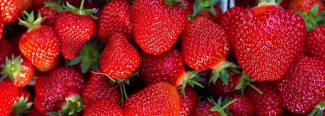 Aldi retira su oferta de fresas a 1,98 euros/kilo, por debajo del coste de producción